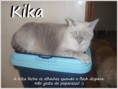 /album/gatos/kika-jpg/